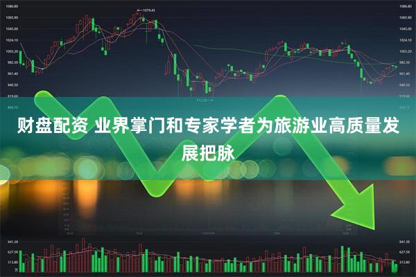 财盘配资 业界掌门和专家学者为旅游业高质量发展把脉