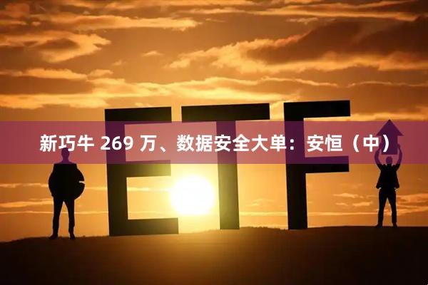 新巧牛 269 万、数据安全大单：安恒（中）