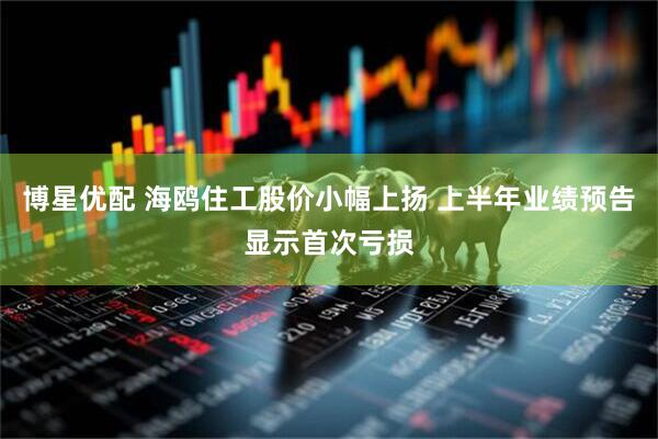 博星优配 海鸥住工股价小幅上扬 上半年业绩预告显示首次亏损
