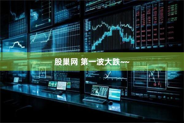 股巢网 第一波大跌~~
