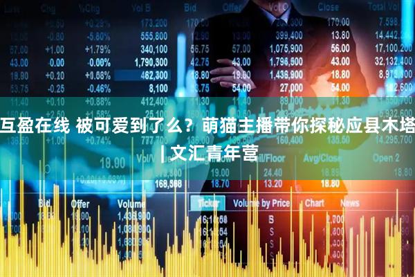 互盈在线 被可爱到了么？萌猫主播带你探秘应县木塔 | 文汇青年营