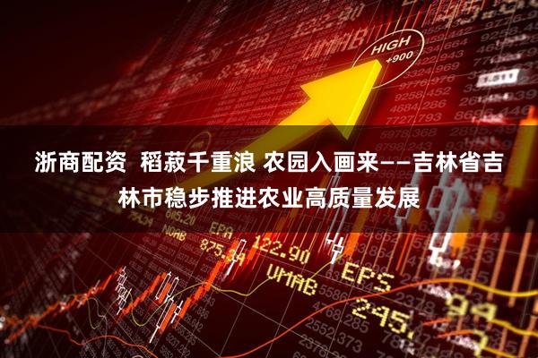 浙商配资  稻菽千重浪 农园入画来——吉林省吉林市稳步推进农业高质量发展
