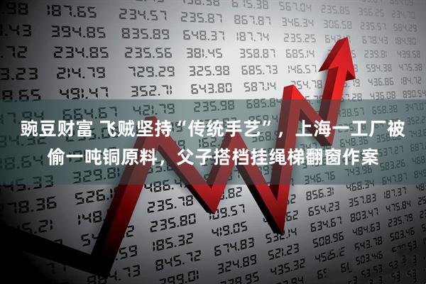 豌豆财富 飞贼坚持“传统手艺”，上海一工厂被偷一吨铜原料，父子搭档挂绳梯翻窗作案